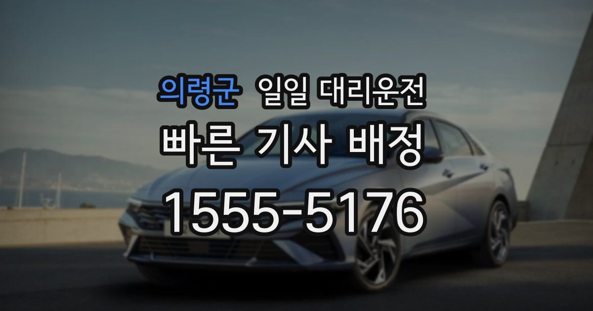 의령군 일일 대리운전