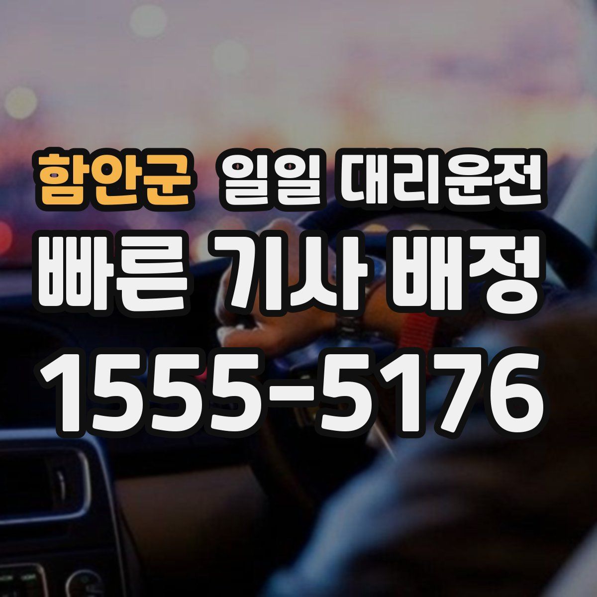 함안군 일일 대리운전