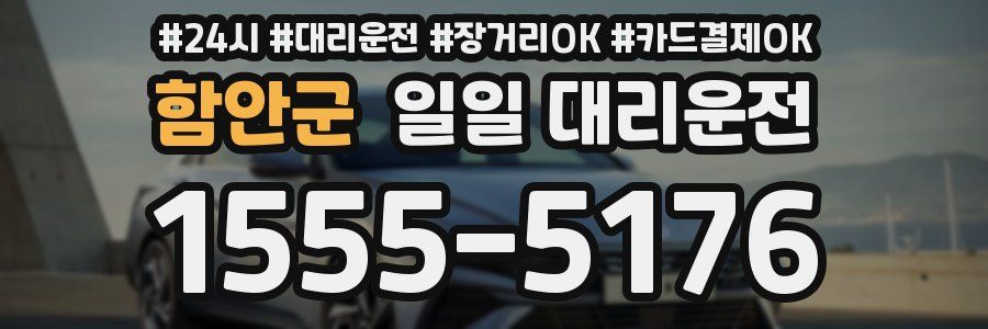 함안군 일일 대리운전