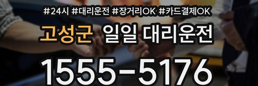 고성군 일일 대리운전