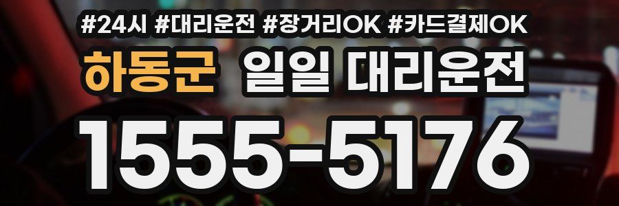 하동군 일일 대리운전