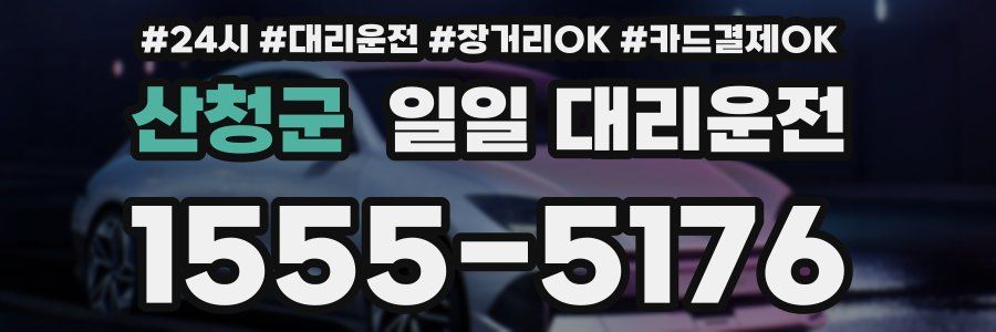 산청군 일일 대리운전