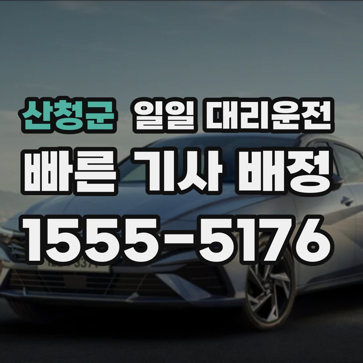 산청군 일일 대리운전