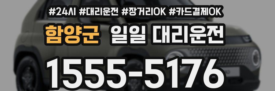 함양군 일일 대리운전