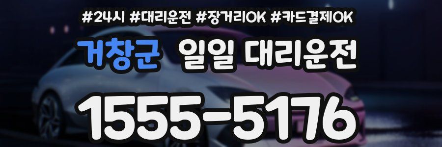 거창군 일일 대리운전