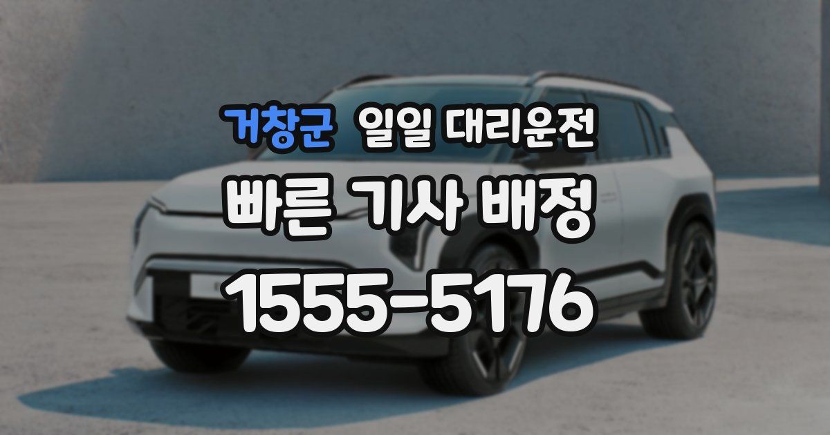 거창군 일일 대리운전
