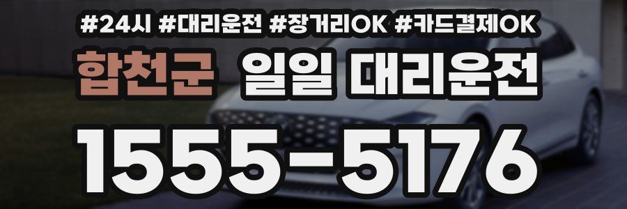 합천군 일일 대리운전