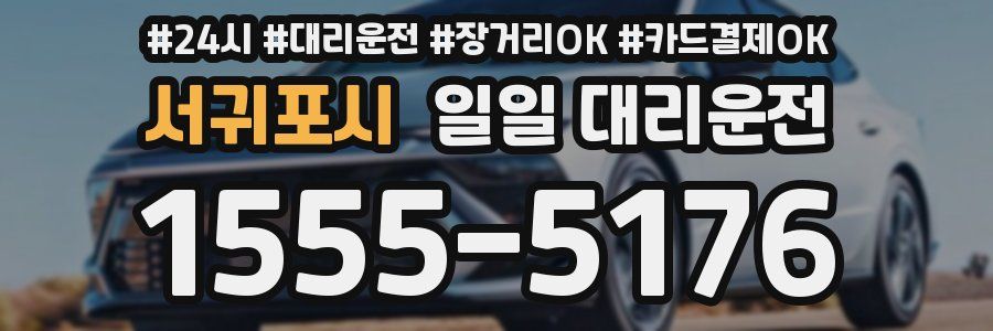 서귀포시 일일 대리운전