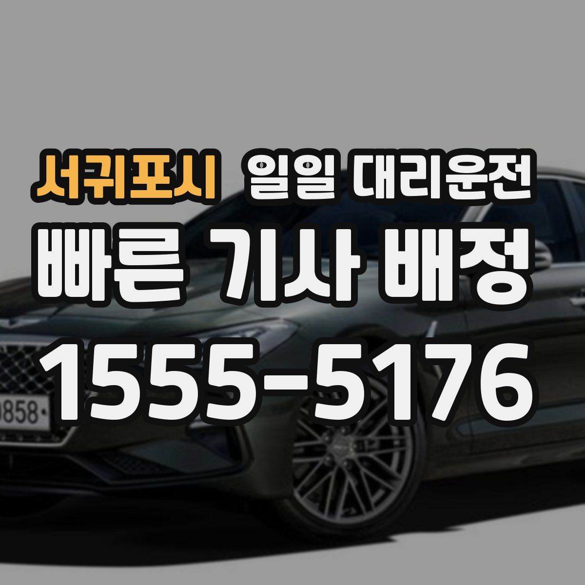 서귀포시 일일 대리운전