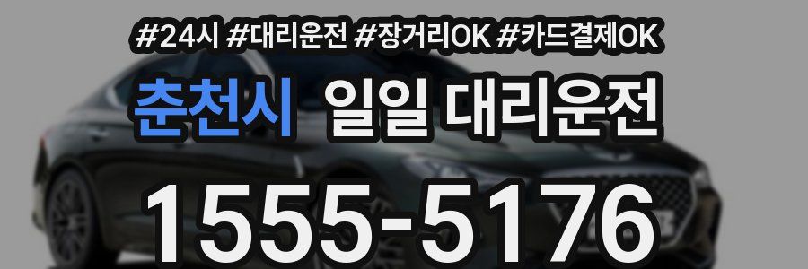 춘천시 일일 대리운전