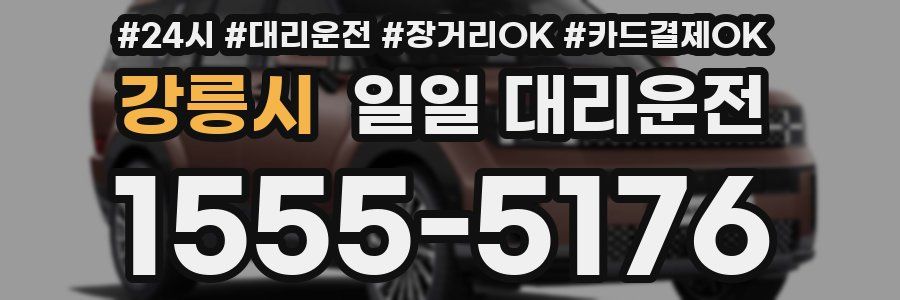 강릉시 일일 대리운전