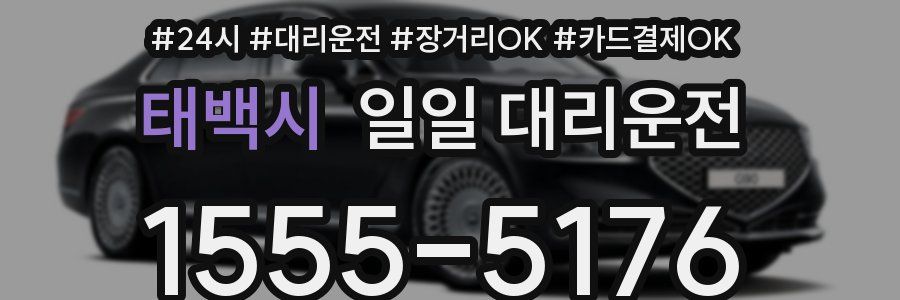 태백시 일일 대리운전