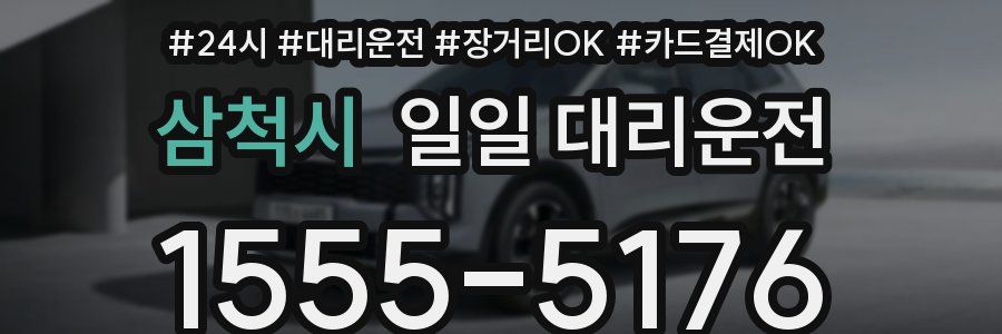 삼척시 일일 대리운전