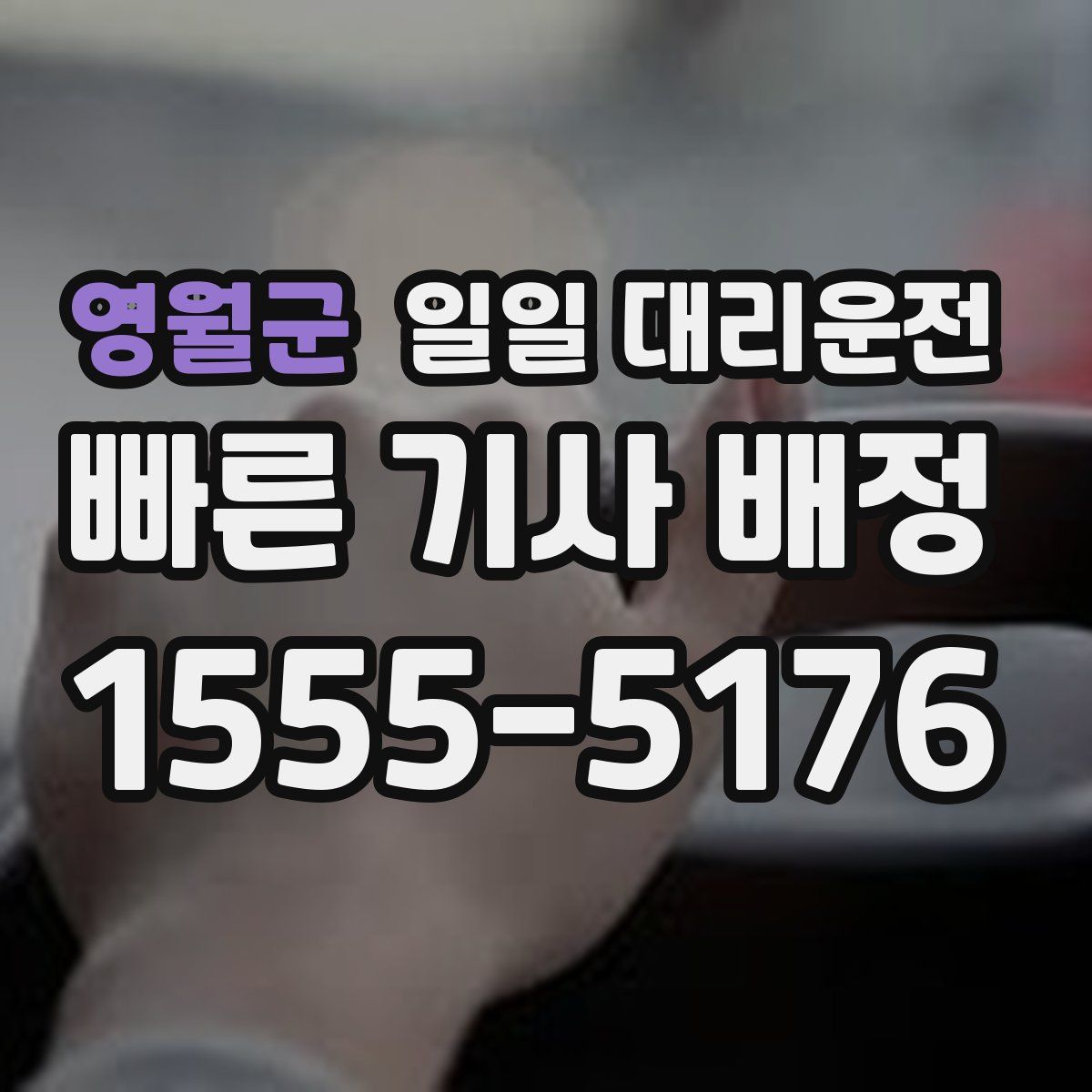 영월군 일일 대리운전