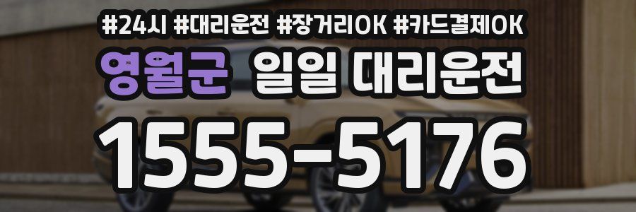 영월군 일일 대리운전