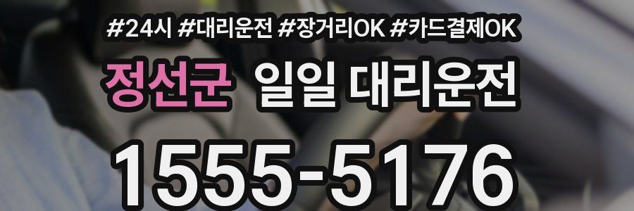 정선군 일일 대리운전