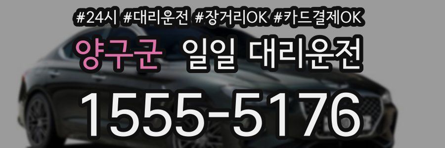 양구군 일일 대리운전