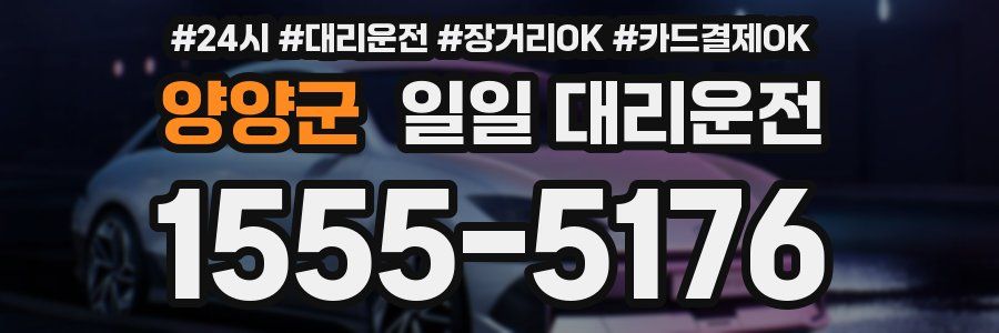 양양군 일일 대리운전