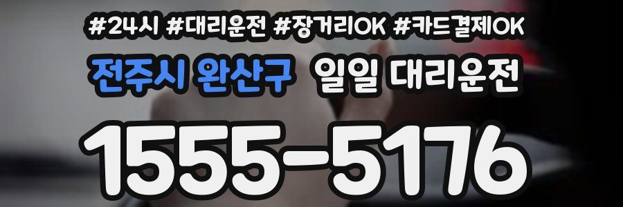 전주시 완산구 일일 대리운전