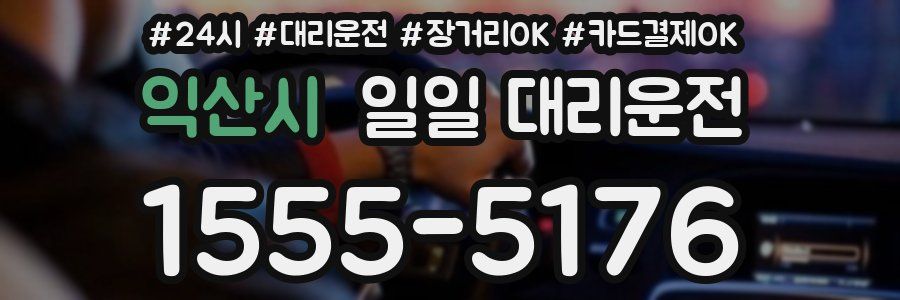 익산시 일일 대리운전
