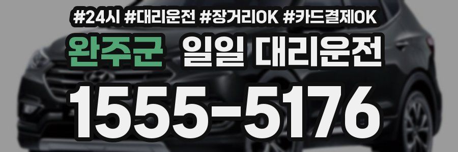 완주군 일일 대리운전
