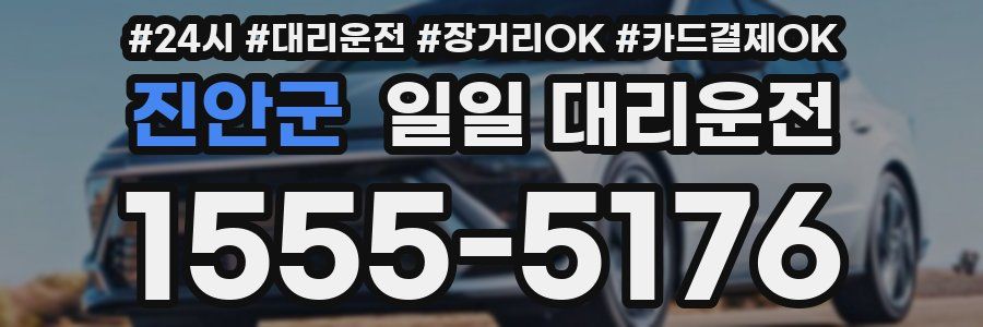 진안군 일일 대리운전