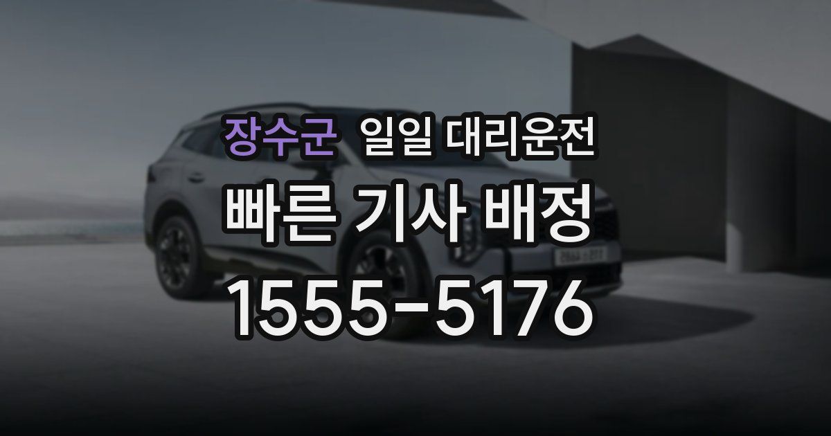 장수군 일일 대리운전