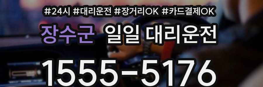 장수군 일일 대리운전