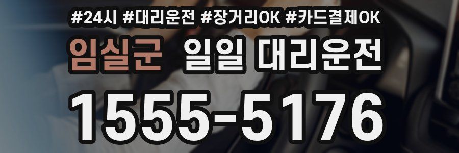 임실군 일일 대리운전