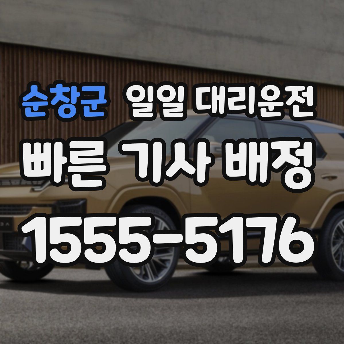 순창군 일일 대리운전