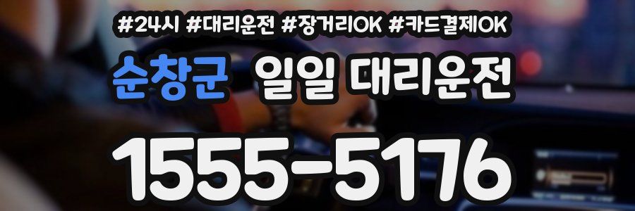 순창군 일일 대리운전