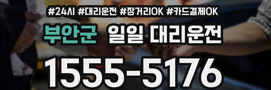 부안군 일일 대리운전