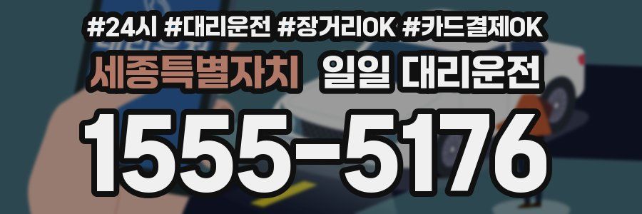 세종특별자치 일일 대리운전
