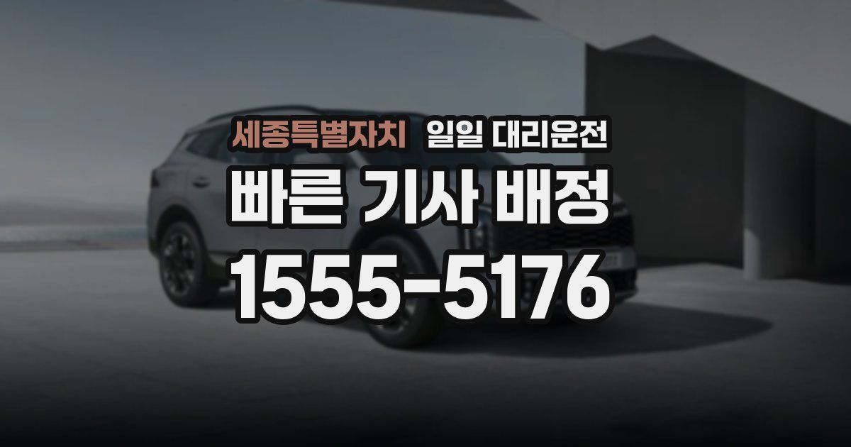 세종특별자치 일일 대리운전