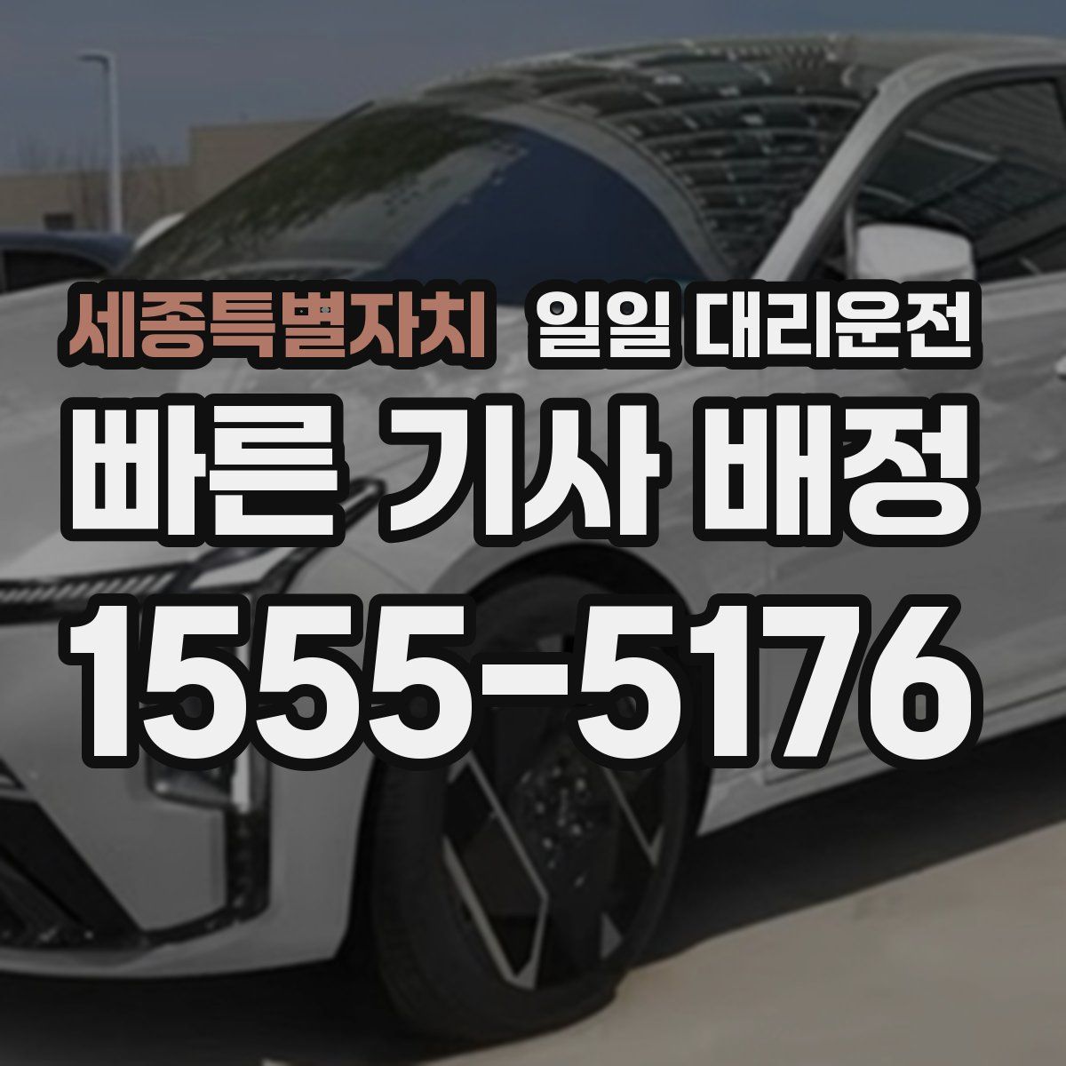 세종특별자치 일일 대리운전