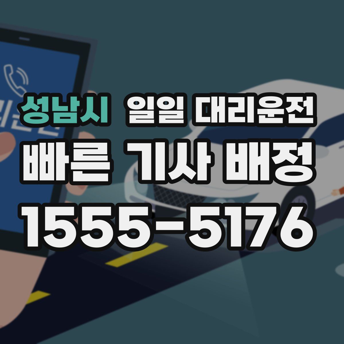 성남시 일일 대리운전