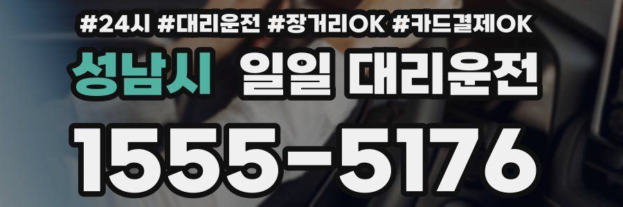 성남시 일일 대리운전