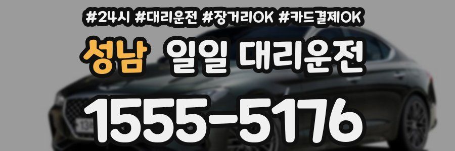성남 일일 대리운전
