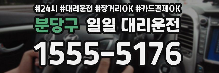 분당구 일일 대리운전