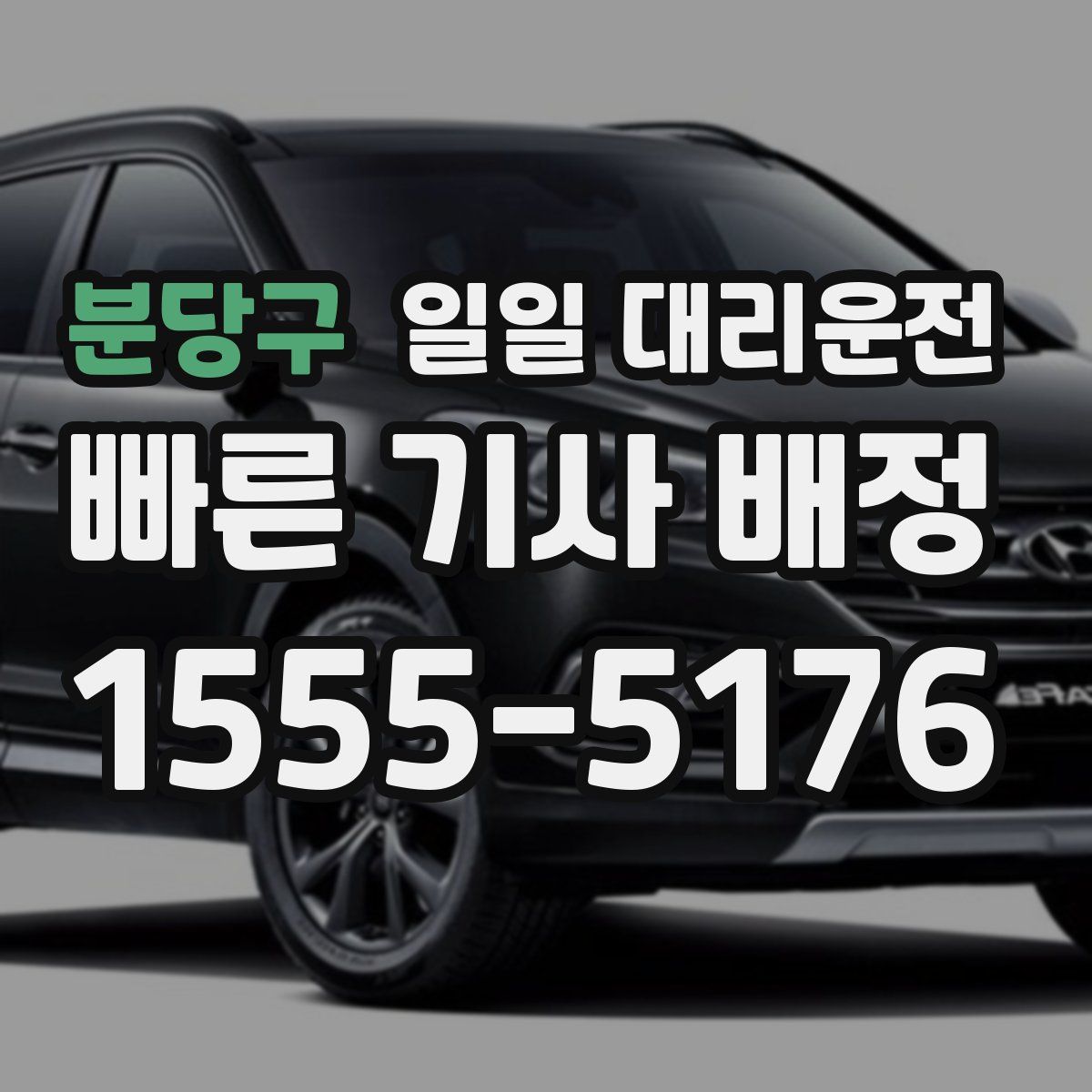 분당구 일일 대리운전