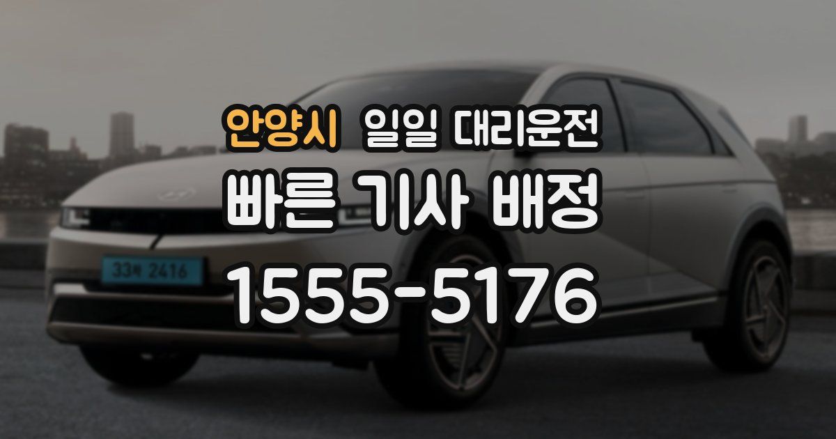안양시 일일 대리운전