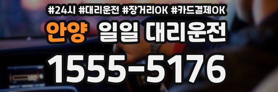안양 일일 대리운전