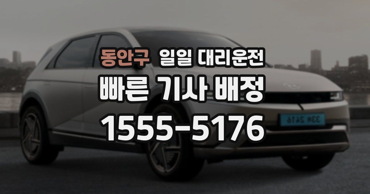동안구 일일 대리운전