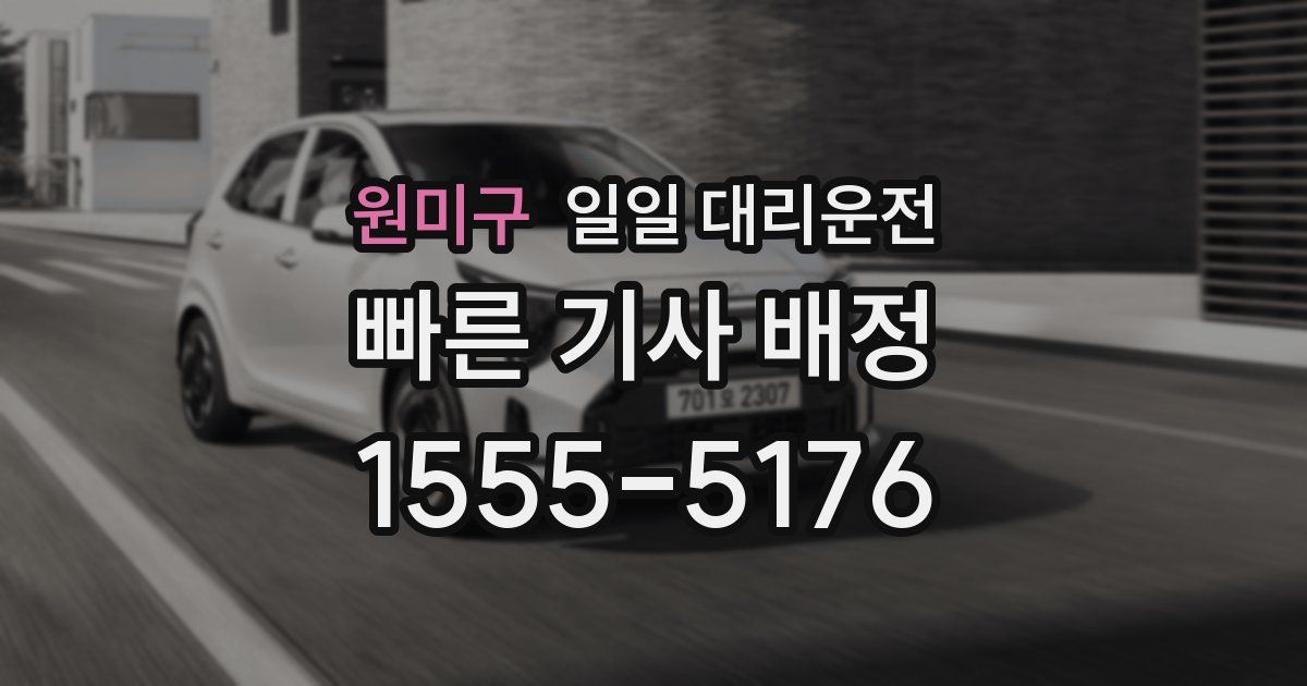 원미구 일일 대리운전