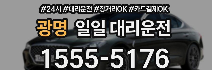 광명 일일 대리운전