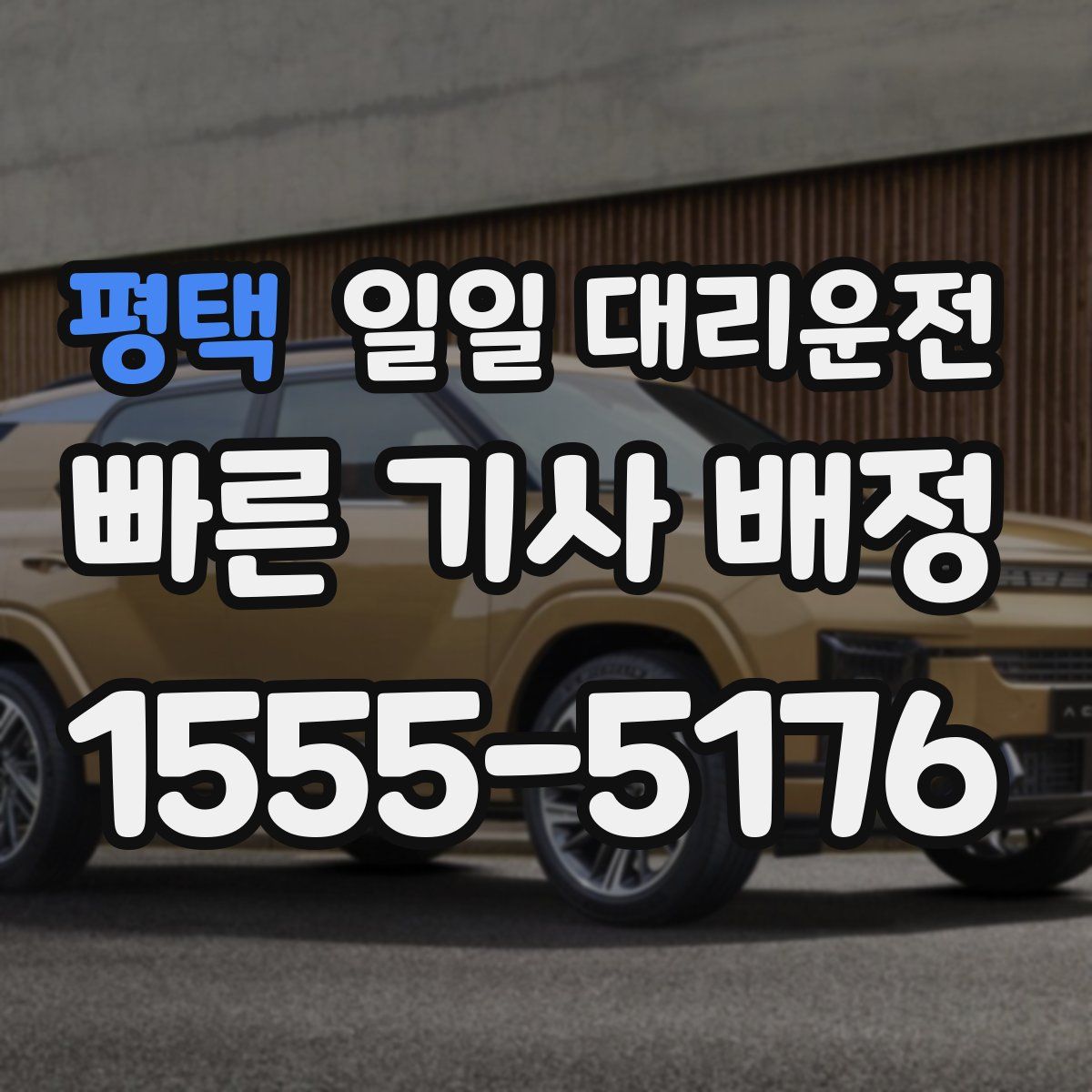 평택 일일 대리운전