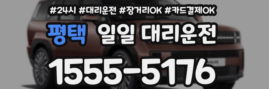 평택 일일 대리운전
