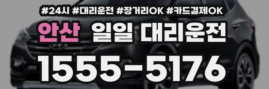 안산 일일 대리운전