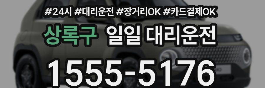 상록구 일일 대리운전