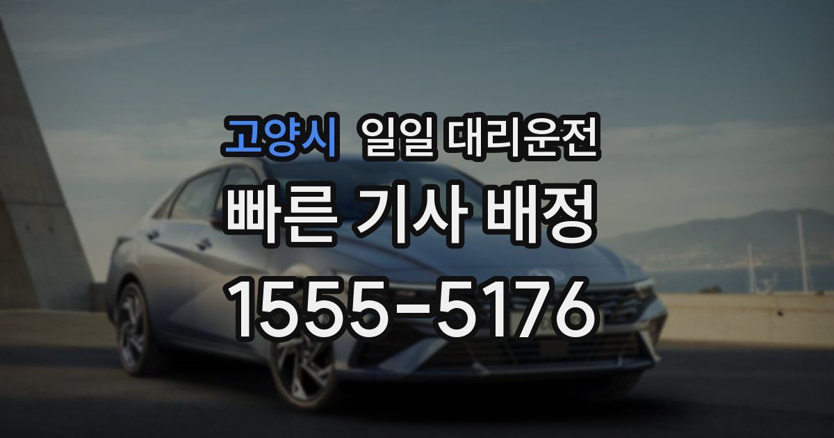 고양시 일일 대리운전